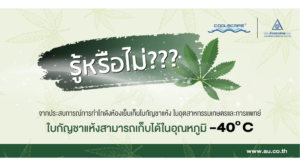 รู้หรือไม่.. ใบกัญชาแห้งสามารถเก็บได้ในอุณหภูมิ 40 องศา